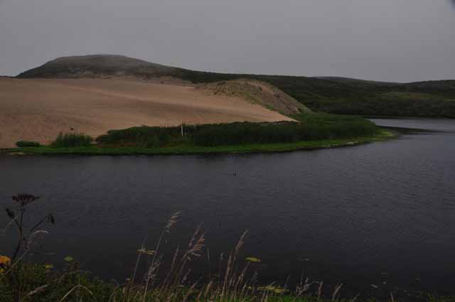 abbott's lagoon